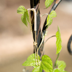 Gold Tone CZ Friendship Bolo Fashion Bracelet