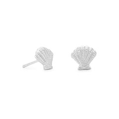 Clam Shell Stud Earrings