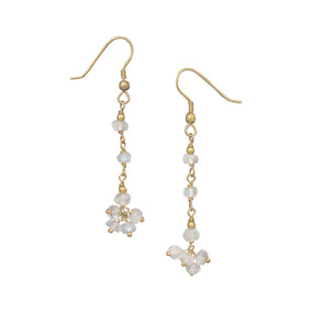 14 Karat Gold Plated Rainbow Moonstone Drop Earrings