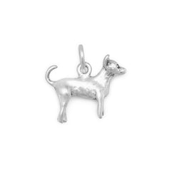 Chihuahua Charm